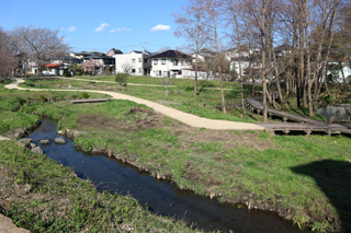 清住緑地の写真