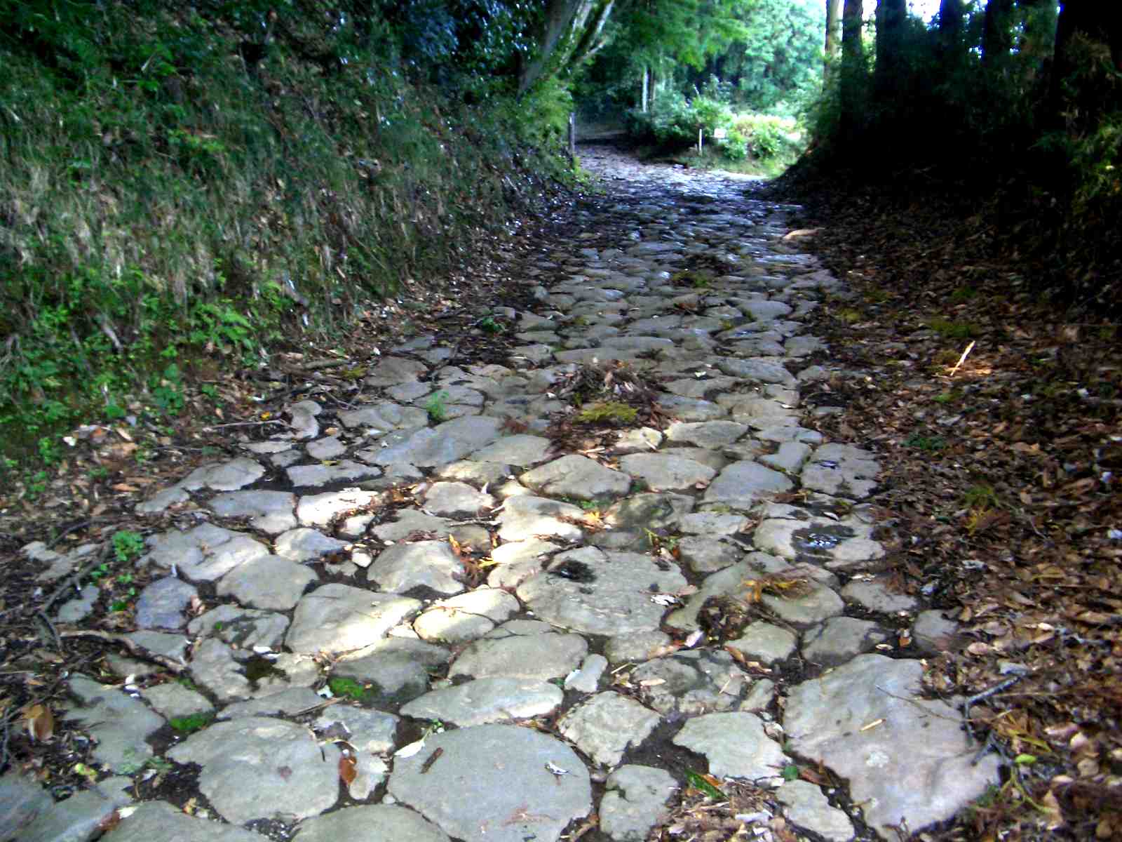 箱根旧街道　石畳