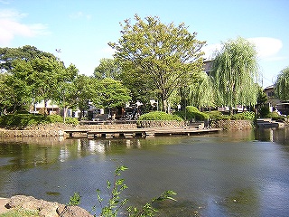 菰池公園の写真2