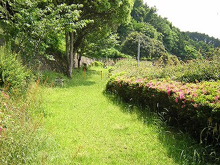 さつき公園の写真1