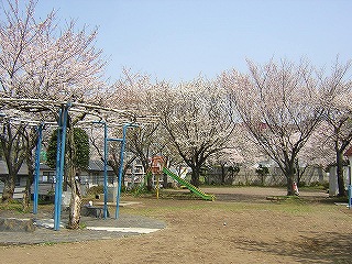 城山公園の写真1