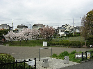 東大場公園の写真1